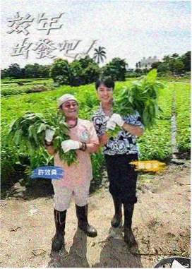 索米影视美食综艺街角解忧厨房海报